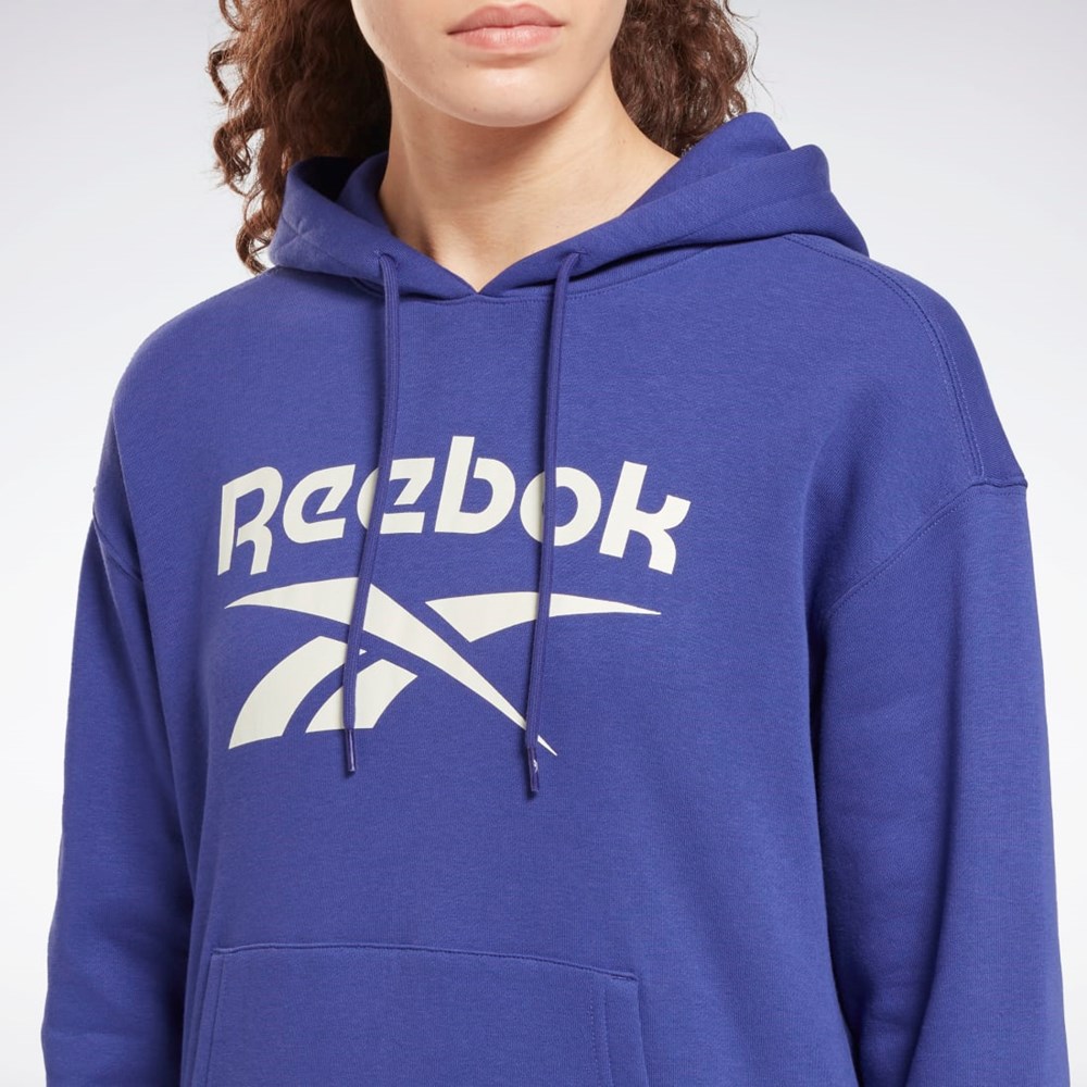 Bold Purple Reebok Reebok Identity Logo Fleece Pullover Hoodie | HI2939