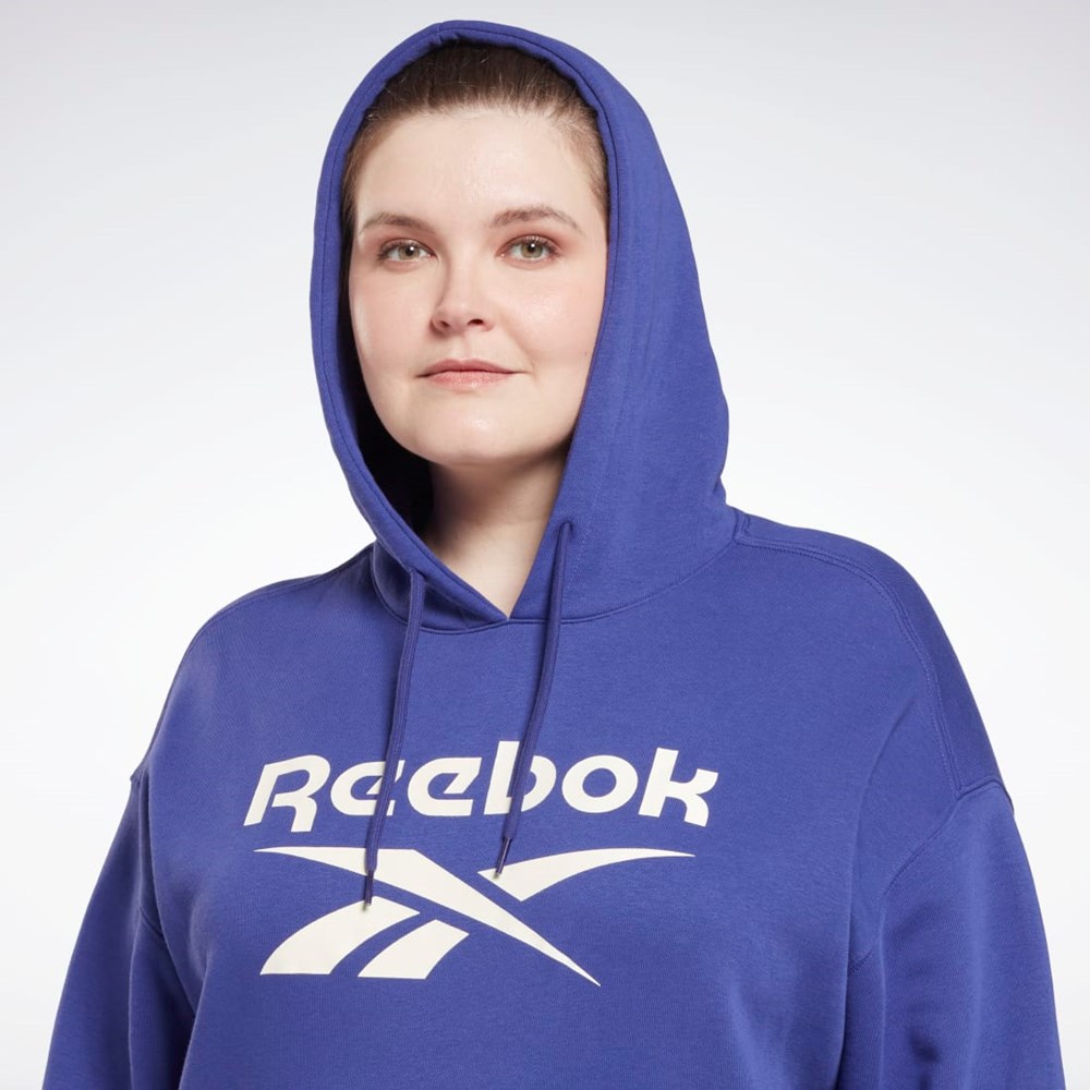 Bold Purple Reebok Reebok Identity Logo Fleece Pullover Hoodie (Plus Size) | HN4372