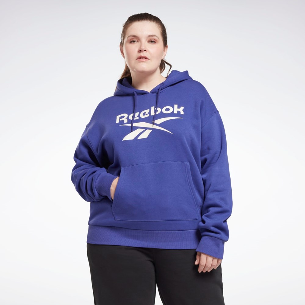 Bold Purple Reebok Reebok Identity Logo Fleece Pullover Hoodie (Plus Size) | HN4372