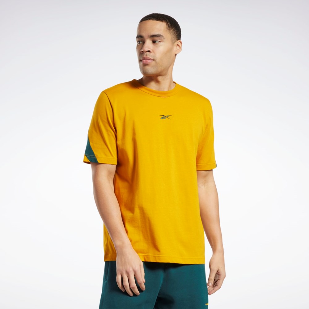 Bright Ochre Reebok Classics Brand Proud T-Shirt | HK7086