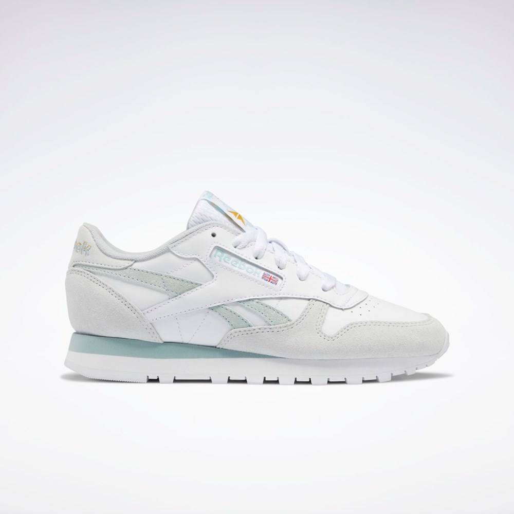 Ftwr White / Seaside Grey / Cold Grey Reebok Classic Leather Shoes | GW3801