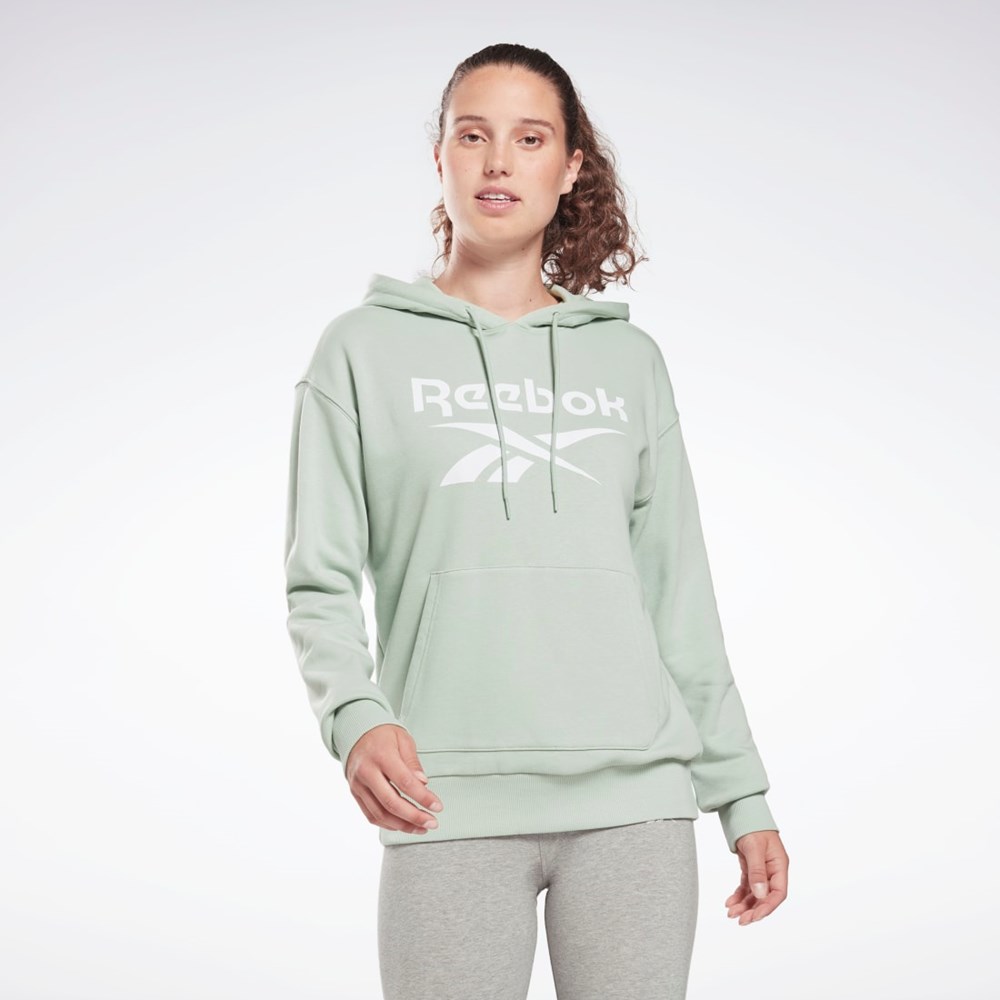 Light Sage Reebok Reebok Identity Logo French Terry Hoodie | HB2295