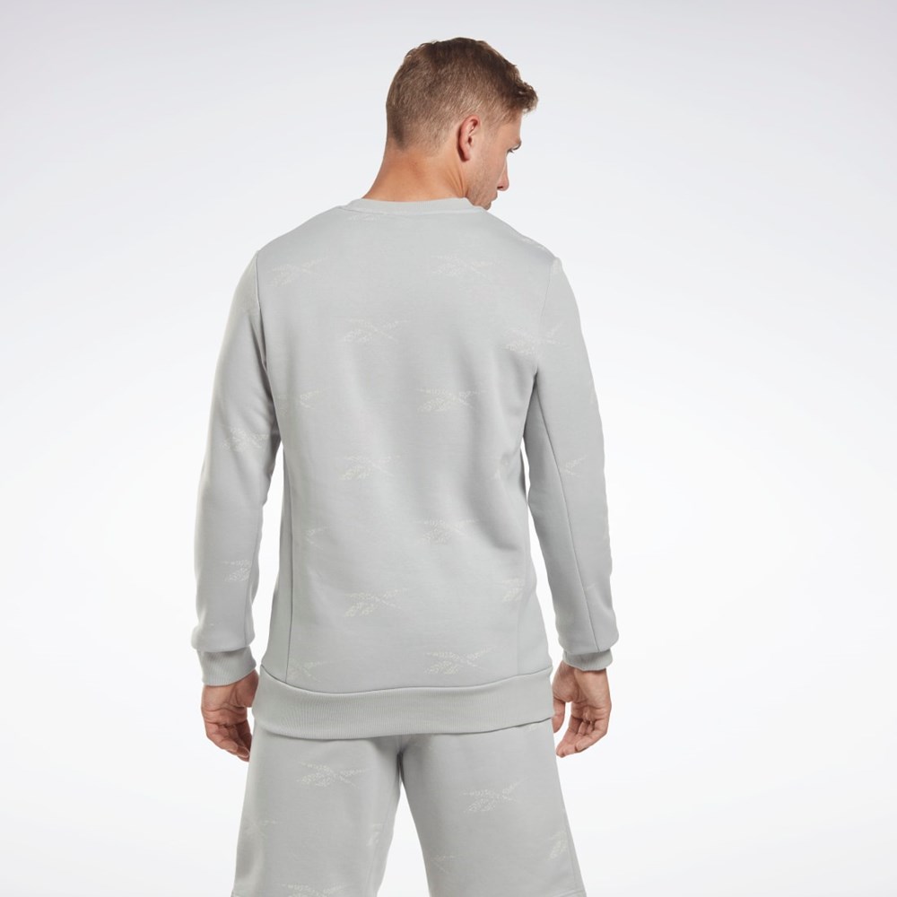 Pure Grey 3 Reebok Reebok Identity Vector Fleece Crew Sweatshirt | HN6884
