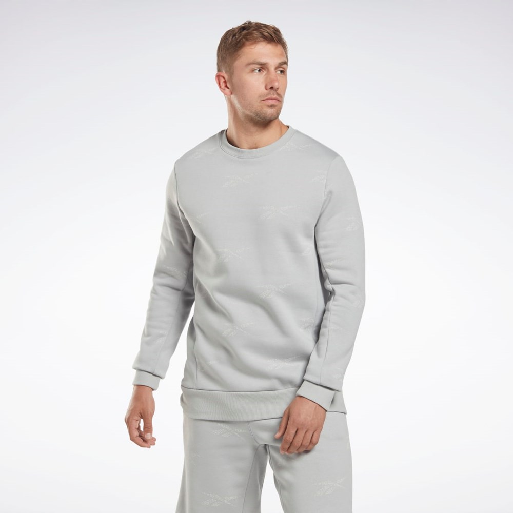 Pure Grey 3 Reebok Reebok Identity Vector Fleece Crew Sweatshirt | HN6884