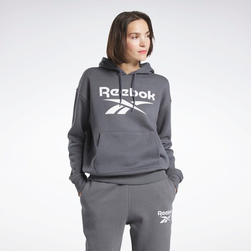 Pure Grey 7 Reebok Reebok Identity Logo Fleece Pullover Hoodie | HS0104