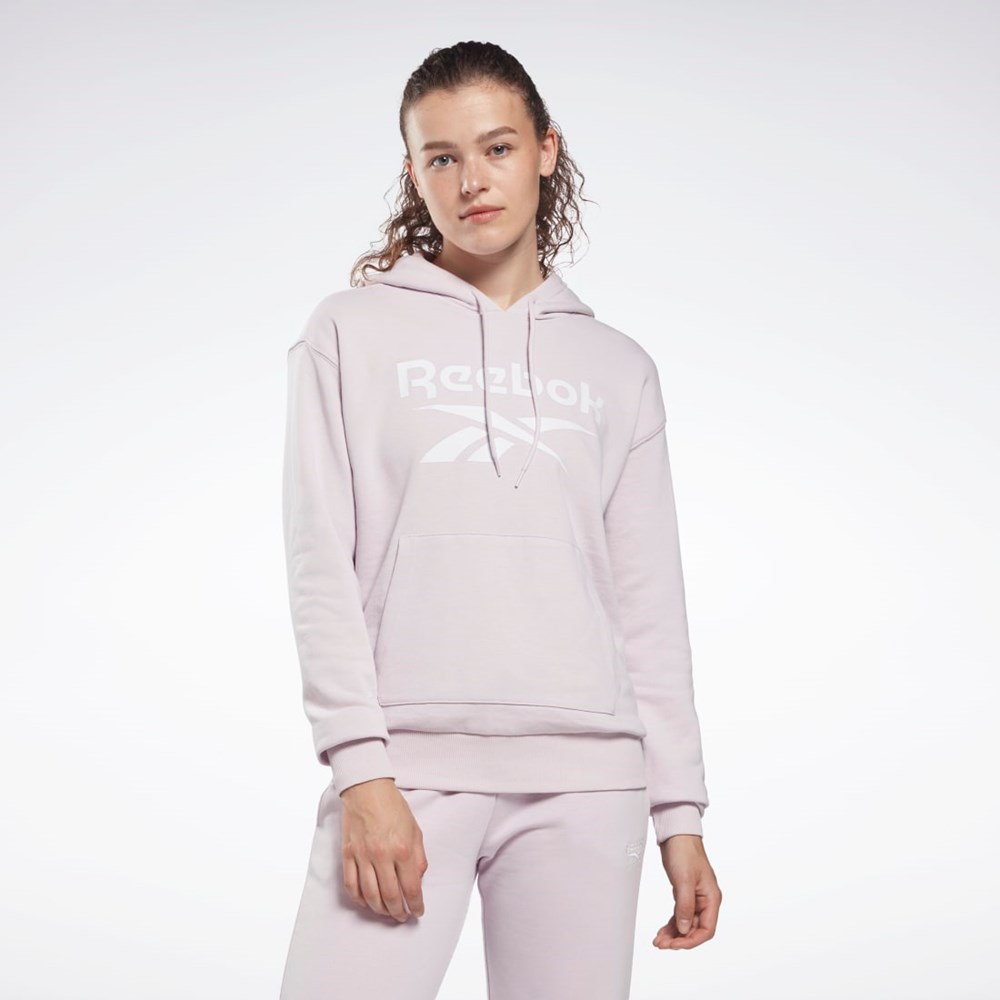 Quartz Glow Reebok Reebok Identity Logo French Terry Hoodie | HE5403