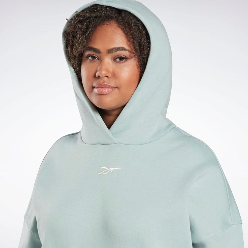 Seaside Grey Reebok Studio Recycled Oversize Hoodie (Plus Size) | HN4339