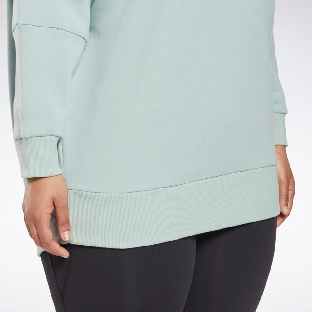 Seaside Grey Reebok Studio Recycled Oversize Hoodie (Plus Size) | HN4339