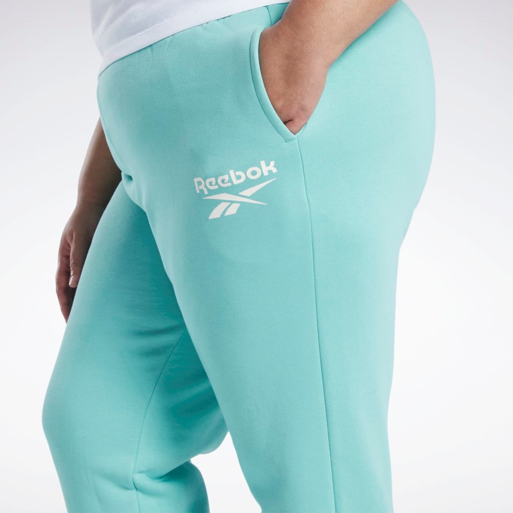 Semi Classic Teal Reebok Reebok Identity Logo Fleece Joggers (Plus Size) | HS0046