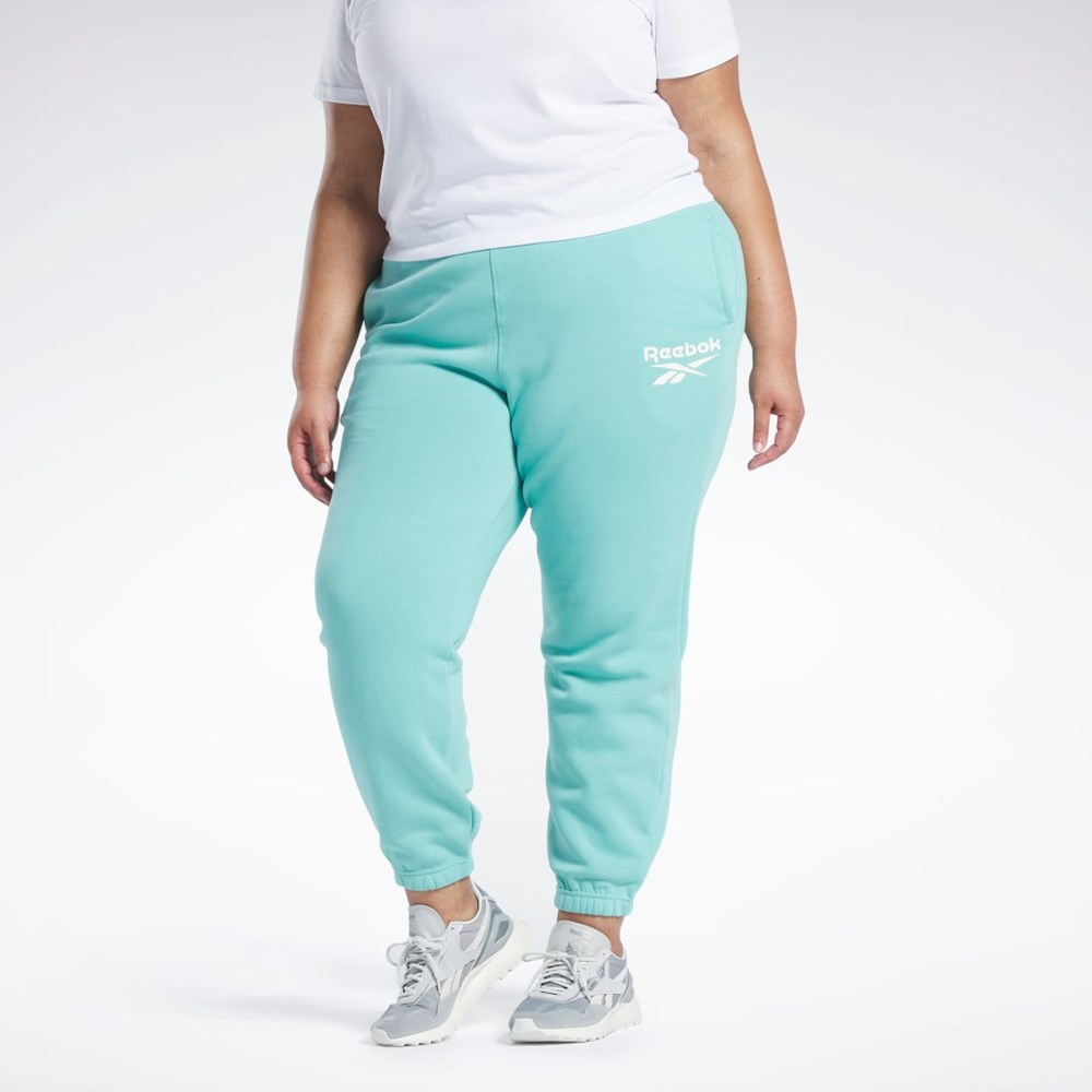 Semi Classic Teal Reebok Reebok Identity Logo Fleece Joggers (Plus Size) | HS0046