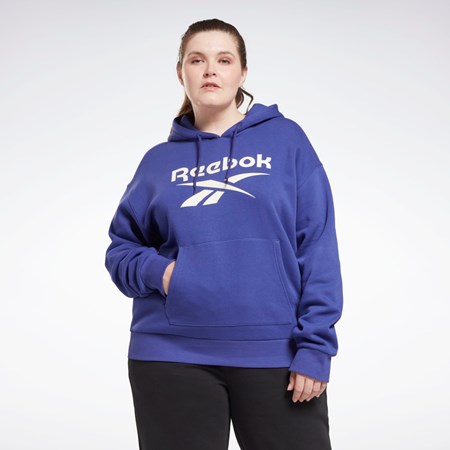 Bold Purple Reebok Reebok Identity Logo Fleece Pullover Hoodie (Plus Size) | HN4372