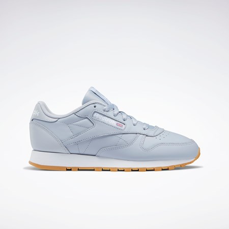 Cold Grey 2 / Cold Grey 2 / Ftwr White Reebok Classic Leather Shoes | GY6812