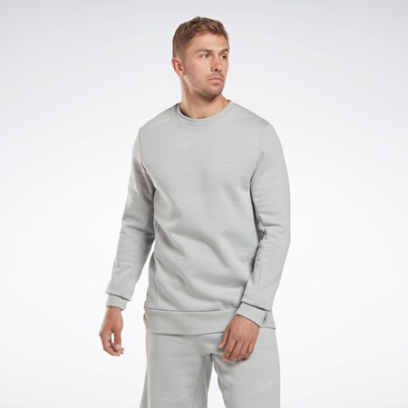 Pure Grey 3 Reebok Reebok Identity Vector Fleece Crew Sweatshirt | HN6884