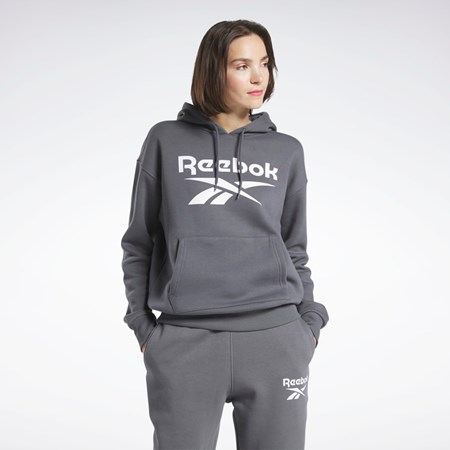 Pure Grey 7 Reebok Reebok Identity Logo Fleece Pullover Hoodie | HS0104